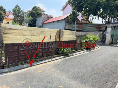 Bán 82m đất thôn Cổ Điển, Hải Bối, Đông Anh. Gần cầu Thăng Long và trung tâm thành phố HN _0