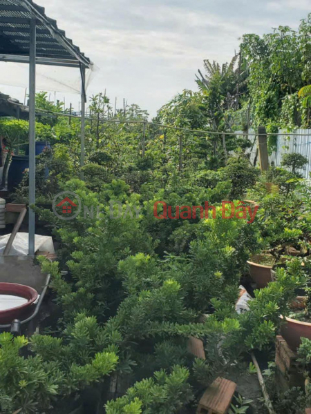 Property Search Vietnam | OneDay | Residential, Sales Listings, HXT Garden Land 722m2, Back expansion - Xuan Thoi Thuong 2 HM