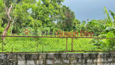 Tien Tan Lao Cau land, area 245m2 (849-4617272033)_0