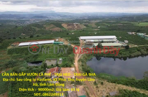PRIME LAND - GOOD PRICE - URGENT SALE! Land for sale in Phuc Tho Commune, Lam Ha District, Lam Dong Province. _0