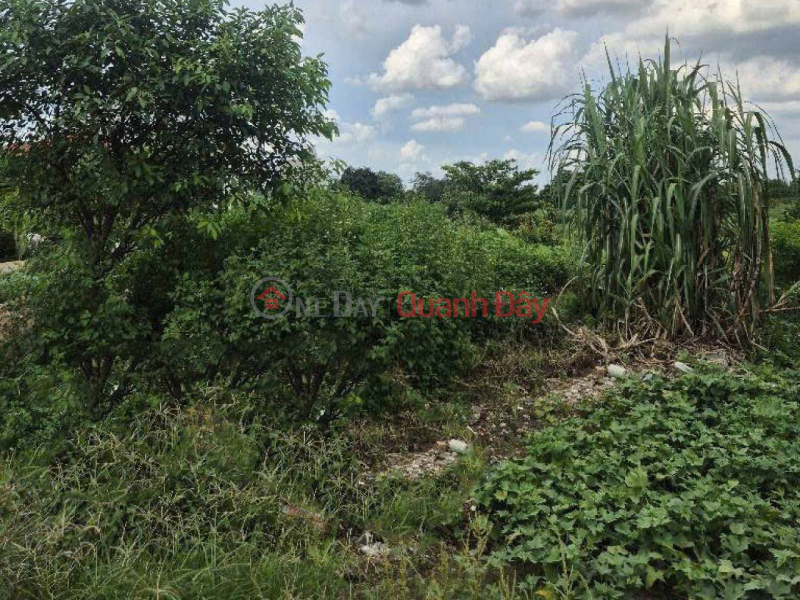 SHR Guesthouse 40 rooms, 8m diameter, 618m2, expanding to the back - Street No. 28, Go Vap District Vietnam | Sales đ 60 Billion