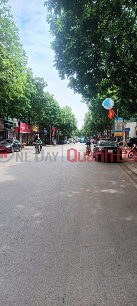 Property Search Vietnam | OneDay | Residential, Sales Listings, SELLING LONG BIEN PIECE OF LAND 442M 11.8M FRONTAGE, 3 OPEN SIDE, BLOOMING BACK, FULL RESIDENCE