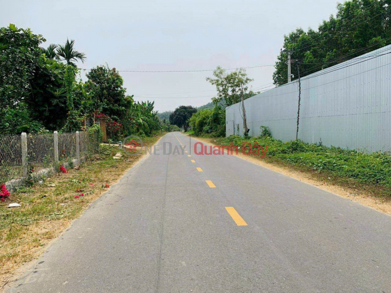 Property Search Vietnam | OneDay | Residential, Sales Listings Land located on Provincial Road 2, Dien Tho Commune, Dien Khanh District, Khanh Hoa Province - Land with existing fruit orchard.