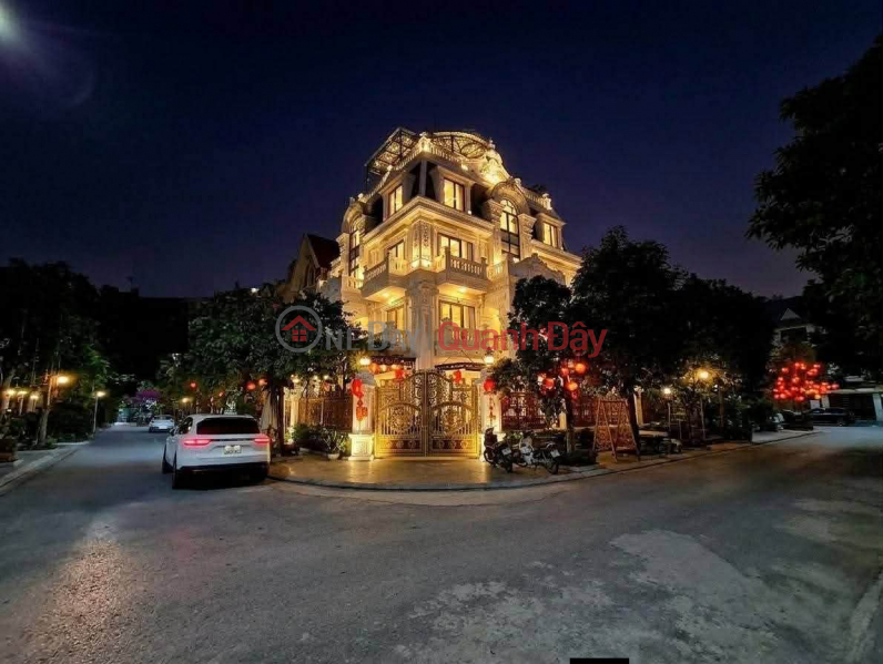 Viet Hung villa, corner plot, 4 sides open, garden, Koi fish pond, absolute security. Sales Listings