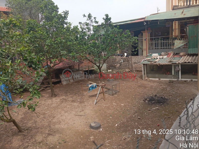 Property Search Vietnam | OneDay | Residential Sales Listings 50 m2 land for sale in Le Chi - Gia Lam, price 1.95 billion VND, contact 0985865658