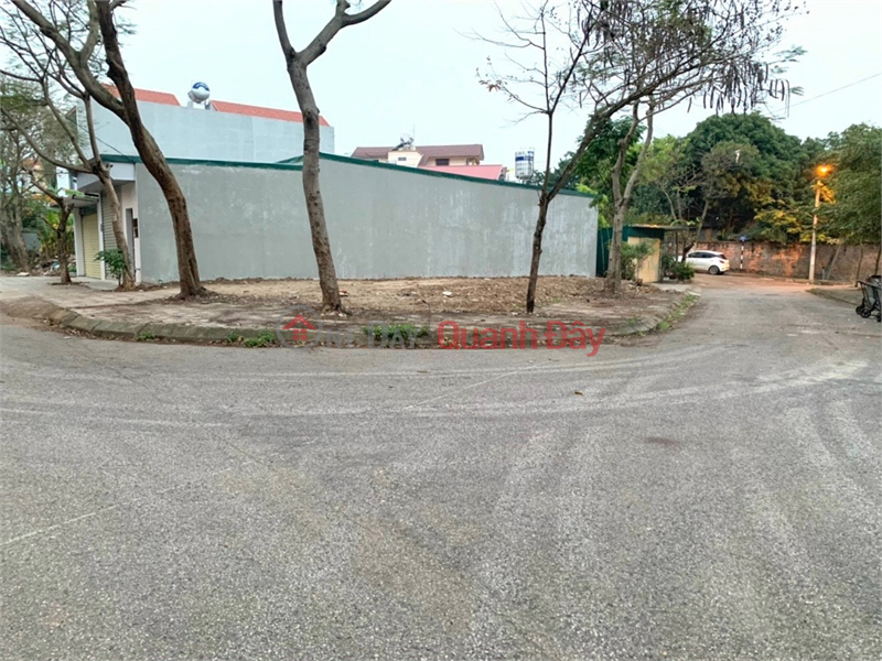 Land for sale on Le Quang Ba street, Lien Bao ward, Vinh Yen city, Vinh Phuc. Sales Listings