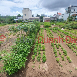 GENERAL FOR SALE QUICKLY Land Lot Beautiful Location Near Mai Luong Villa, Long Ho District, Vinh Long _0