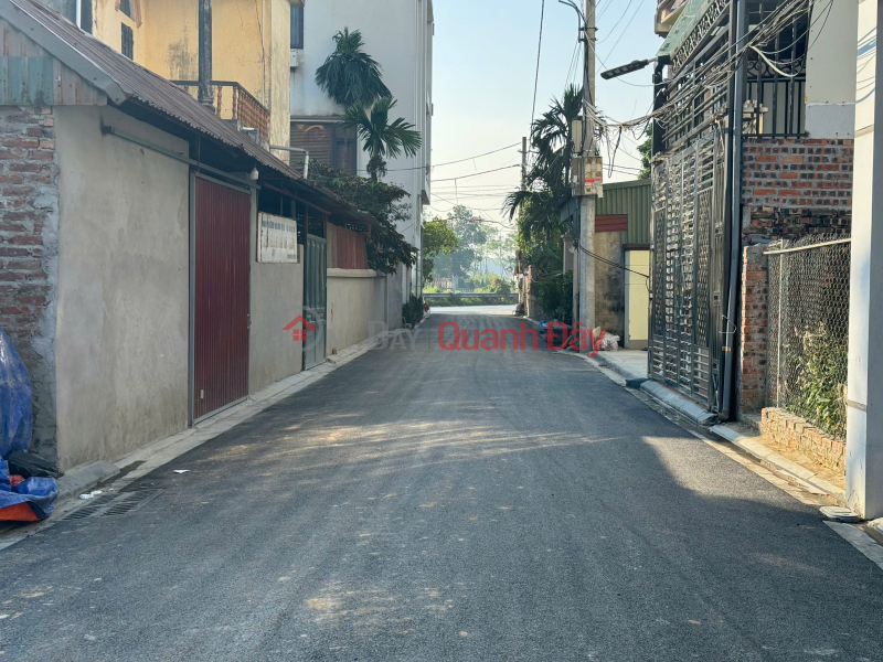 Property Search Vietnam | OneDay | Nhà ở | Niêm yết bán BÁN ĐẤT 96m2 SƠN DU, NGUYÊN KHÊ, ĐÔNG ANH - GẦN VÕ NGUYÊN GIÁP - GIÁ 7X NHỎ