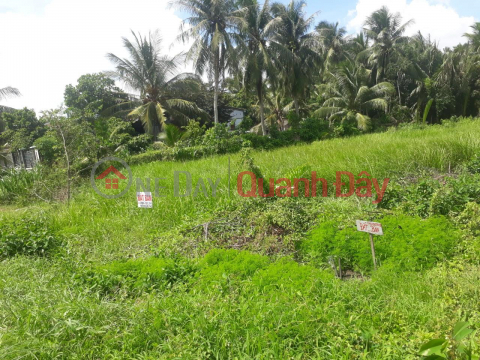 BEAUTIFUL LAND - GOOD PRICE - Land Lot for Sale Location at Highway 57, Tan Phong Commune, Thanh Phu, Ben Tre _0