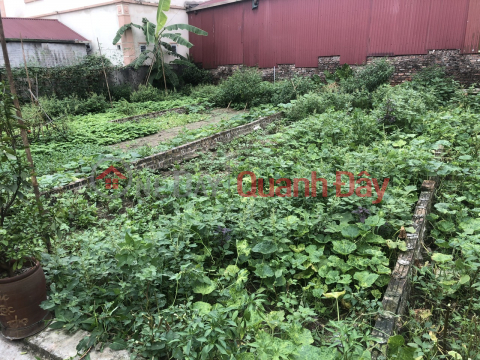 *LE XA - GIA LAM *136M, 5D MORE - NEIGHBORING VINHOME GIA LAM - CENTER - PROFIT POTENTIAL. _0
