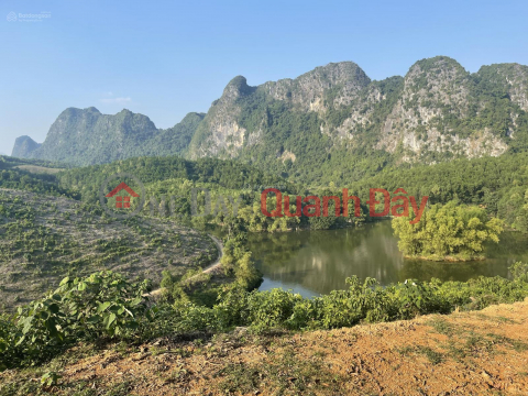 The owner sold 3.1 hectares 200 meters away from the lake in Sao Bay, Kim Boi. _0