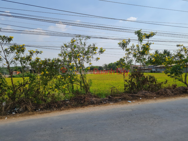 đ 75 Billion | Land for sale at the front of Loc Binh 6 street, Loc Giang commune, Duc Hoa District, Long An province