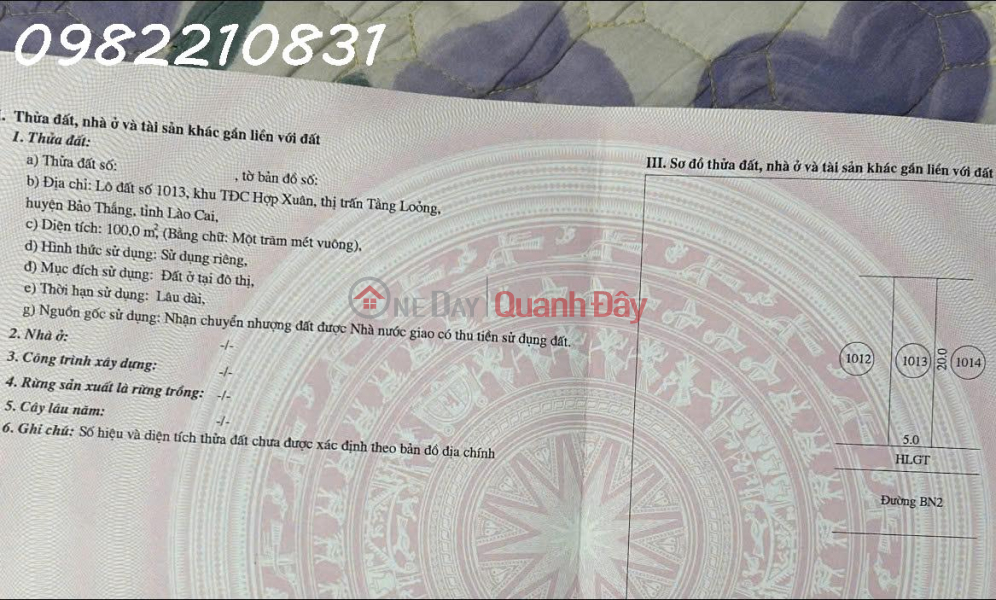 Land for sale in Tang Loong Town, Bao Thang District, Lao Cai Province, area 100m2, investment price. Sales Listings