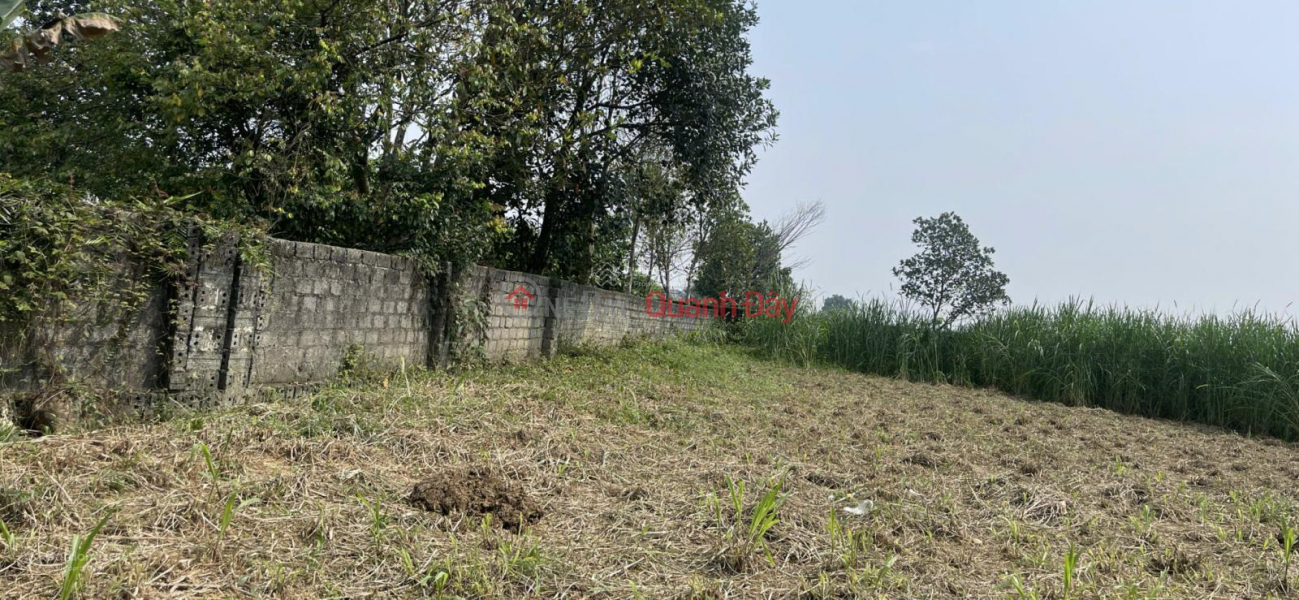 Property Search Vietnam | OneDay | Residential Sales Listings, OWNER SELLING 1,080M2 LAND WITH TITLE DEED, 30M FRONTAGE, FULL AMENITIES, LOCATED RIGHT ON TL87A - YEN BAI
