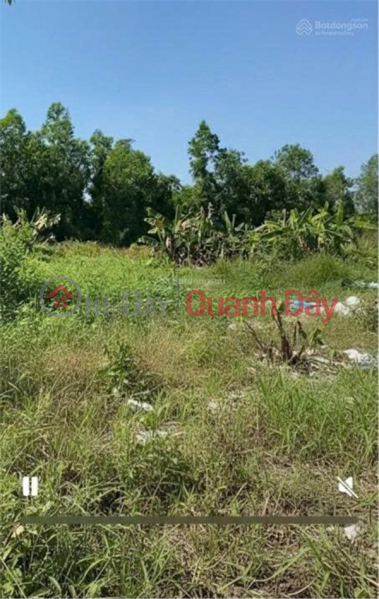 CẦN CHO THUÊ LÔ ĐẤT nông nghiệp để trồng trọt, chăn nuôi TẠI Xã Phạm Văn Hai, Bình Chánh, HCM Niêm yết cho thuê