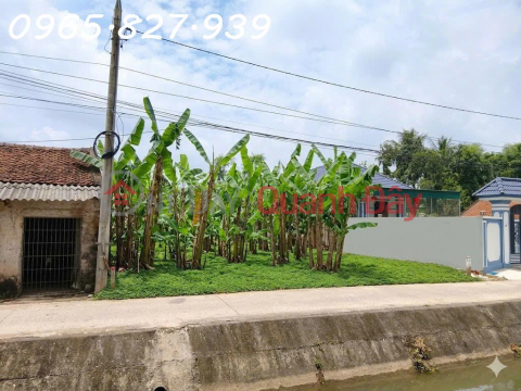 Owner needs to sell a plot of land in Dong Tien ward, Thanh Hoa city, area 667m2, investment price. _0