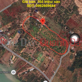 ĐẤT ĐẸP – GIÁ TỐT - Chính Chủ Cần Bán Nhanh 1,6Ha Đất Tân Phú, Ea Nuôi, Buôn Đôn, Đắk Lắk _0