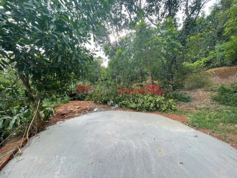 Property Search Vietnam | OneDay | Residential | Sales Listings | RESORT LAND FOR SALE 1267M2 IN TIEN PHUONG-CHUONG MY WARD-HANOI