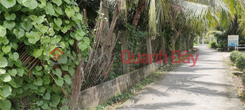 BEAUTIFUL LAND - GOOD PRICE - URGENT SALE Potential Land Lot In Long An Commune, Chau Thanh, Tien Giang _0