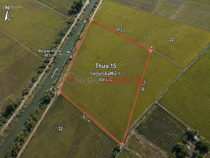 OWNER SELLING 6,246M2 OF LAND WITH READY TITLE DEED NEAR PROVINCIAL ROAD 786, BEN CAU. Sales Listings