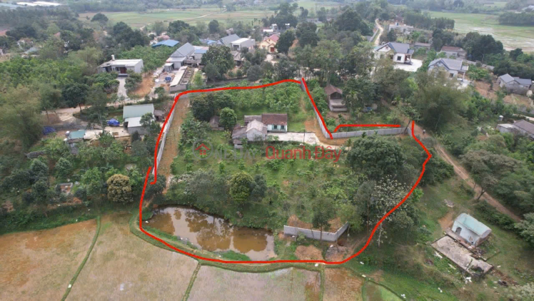 SUPER PRODUCT OF 2-FRONT GARDEN LAND IN LIEN SON, LUONG SON, HOA BINH Sales Listings