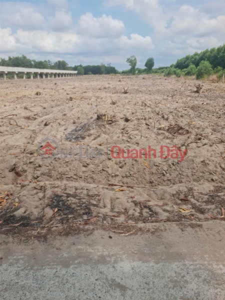 HOT LAND FOR SALE - GREAT PRICE! PLOT OF LAND IN DAT DO DISTRICT, BRVT PROVINCE NEEDED., Vietnam | Sales đ 13.5 Billion