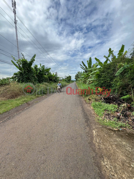 ĐẤT ĐẸP – GIÁ ĐẦU TƯ – CHÍNH CHỦ CẦN BÁN LÔ ĐẤT VỊ TRÍ ĐẸP TẠI Khánh Xuân, Buôn Ma Thuột Việt Nam, Bán đ 1,79 tỷ