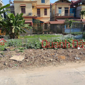 Chính chủ cần bán nhanh mảnh đất đẹp - Vị trí đẹp tại Đổng Viên, Phù Đổng, Gia Lâm, Hà Nội _0