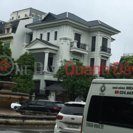 Urgent sale of villa in My Dinh, Song Da urban area, Nam Tu Liem District, Hanoi _0