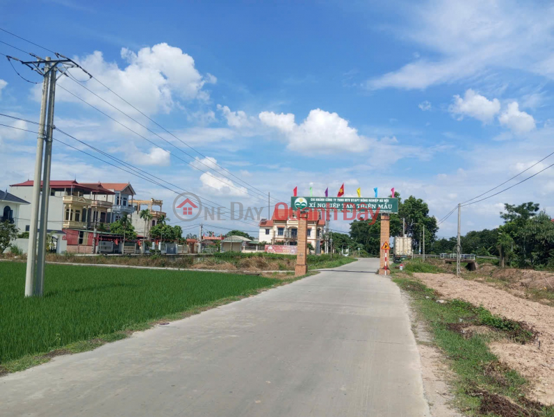 Bán đất Thuận Thành, Bắc Ninh. 100m2 * mt 5m * 2,65 tỷ. ô tô tránh, giá đầu tư. Niêm yết bán