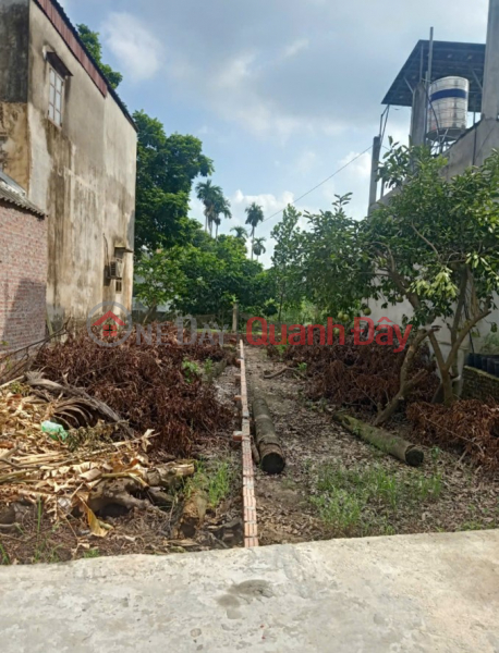 I am the owner and need to sell 2 plots of land in Dong Lu, Dong Quang, Quoc Oai, Vietnam, Sales, đ 3.71 Billion