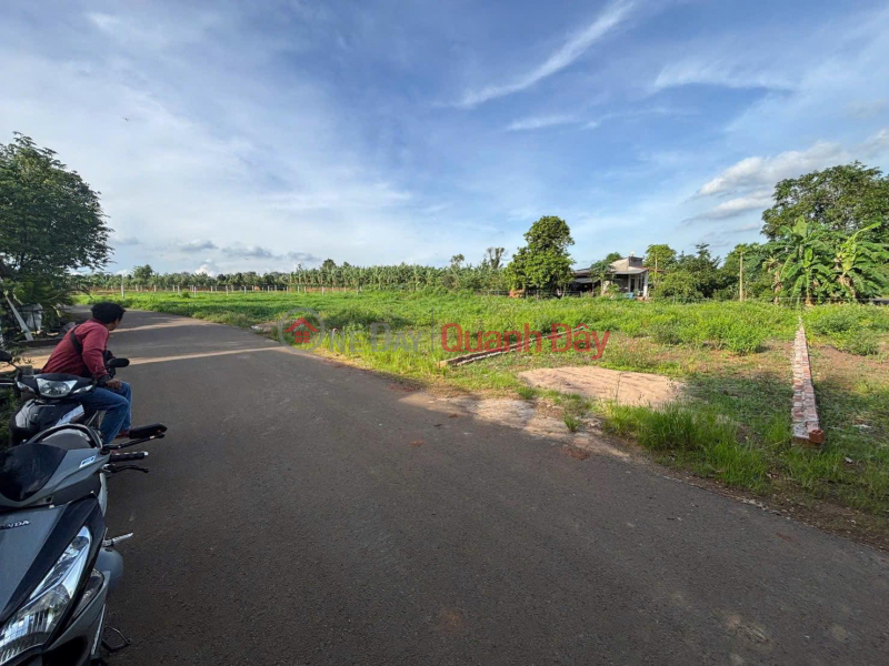 Property Search Vietnam | OneDay | , Sales Listings | Urgent Sale: 5.3 x 25 meters, widening to 7 meters at the rear - Bau Chinh (new Kim Long commune),Ho Chi Minh City