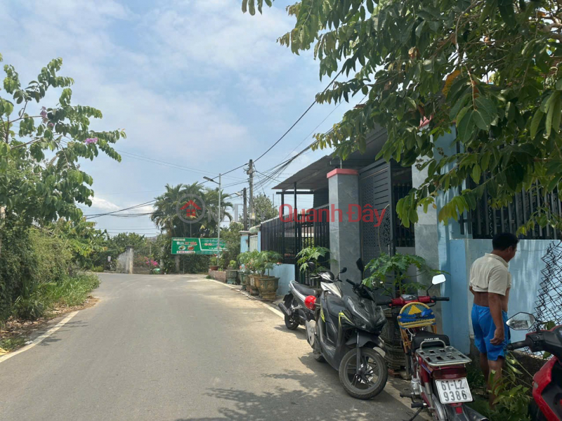OWNER NEEDS TO SELL LAND Frontage on Tan Trieu Road, Tan Binh Commune, Vinh Cuu District, Dong Nai Province. Sales Listings