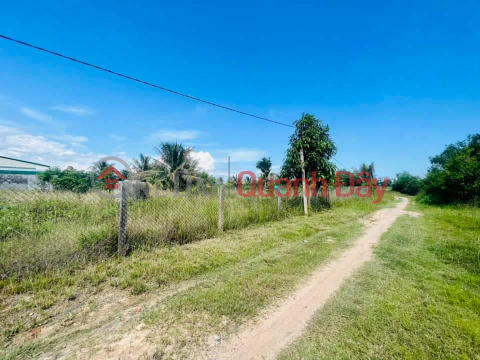 OWNER QUICK SALE OF LAND LOT IN Ninh Tho Commune, Ninh Hoa, Khanh Hoa - EXTREMELY CHEAP PRICE _0