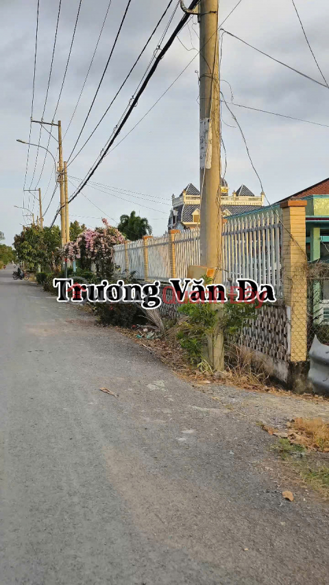 (80) Land for sale with frontage, 1,540m2; 2,812m2; 3,303m2; 5,138m2; 10,700m2; 20,727m2, with residential land, Binh Chanh _0