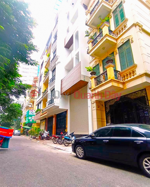 (Car alley side) House for sale on Tran Quang Dieu, 61m 5m wide _0