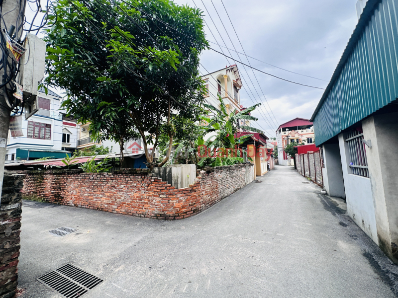 đ 2.4 Billion, Selling a plot of land in a car alley in Tien Duong, priced at 2.4 billion 51m. The land is affordable, can be bought to live or invest