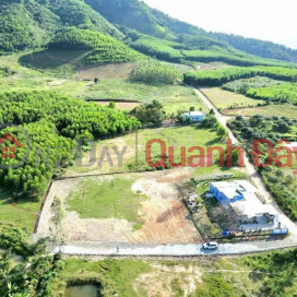 Hot hot!! Only 1 lot left in Khanh Phu, Khanh Vinh - Land by owner, shockingly cheap price!! _0