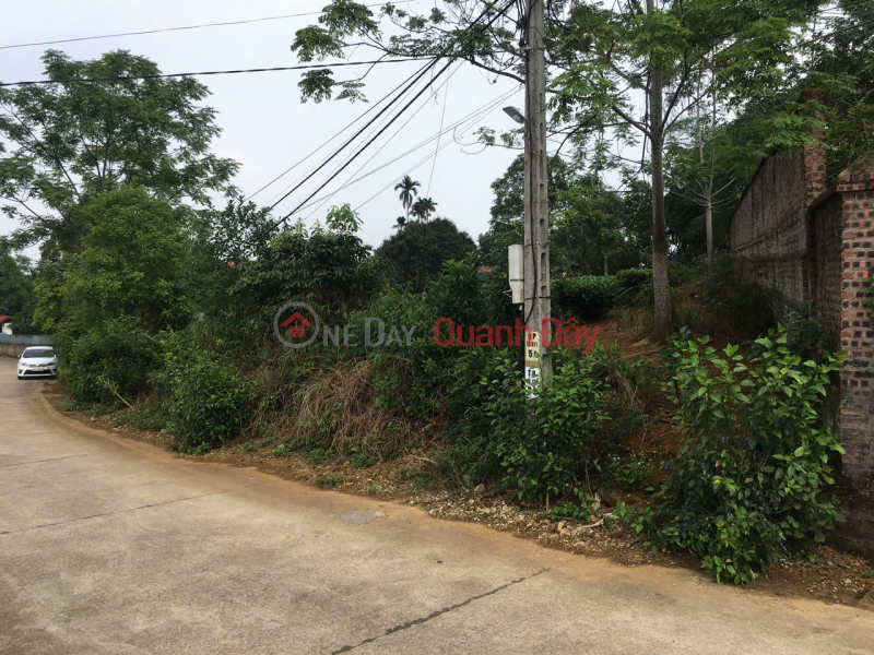 ĐẤT ĐẸP - GIÁ ĐẦU TƯ Chính chủ cần bán nhanh lô đất vị trí đẹp tại huyện Ba Vì, Tp Hà Nội | Việt Nam | Bán đ 9,23 tỷ