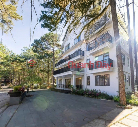 Cho thuê khách sạn 3 sao 36 phòng view rừng thông giá 135 triệu gần Hồ Tuyền Lâm tại Đà Lạt Lâm Đồng _0