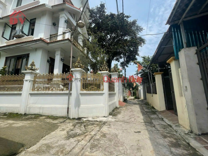 Property Search Vietnam | OneDay | Residential Sales Listings, OWNER NEEDS TO SELL 96M2 LAND LOT IN CUC SON CENTER - CHUONG MY - HANOI