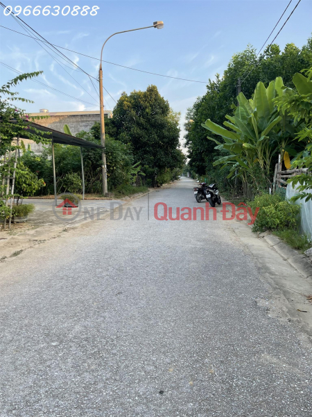 Property Search Vietnam | OneDay | Residential | Sales Listings, Land for sale, Division 8, Nong Tien ward, full residential area, 5 x 20 square meters, full infrastructure, just need to build a house