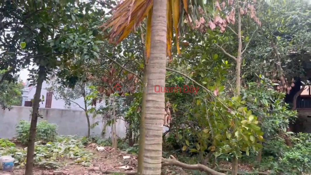 Property Search Vietnam | OneDay | Nhà ở, Niêm yết bán, Bán gấp 180m đất thôn 4, Thạch Đà, Mê Linh, Hà Nội. Đất ở 100%. Cách chợ Thạch Đà 1,4km