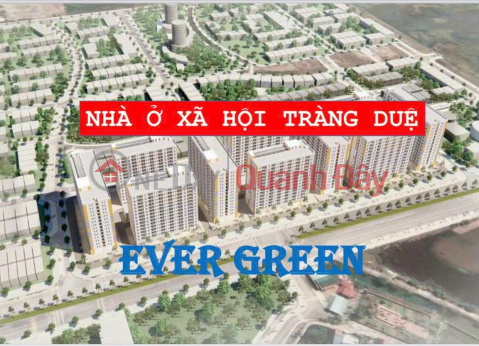 EverGreen Trang Due social housing consists of 10 buildings of 15 floors, 1 basement with a total of 2538 units, the structure of the area is from _0