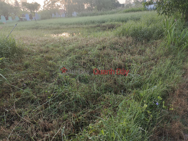 ₫ 1 Billion | FOR QUICK SALE OF OWNER'S Land Plot Prime Location - CHEAP PRICE - In Go Cong Tay District, Tien Giang