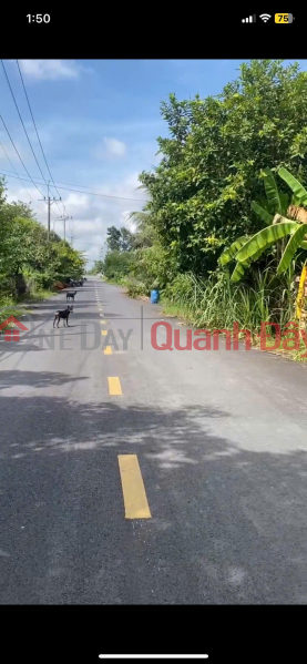 Beautiful Land - Good Price - Owner Needs to Sell a Plot of Land in a Beautiful Location in Trung An Commune, Cu Chi, HCM Vietnam | Sales | đ 6.5 Billion