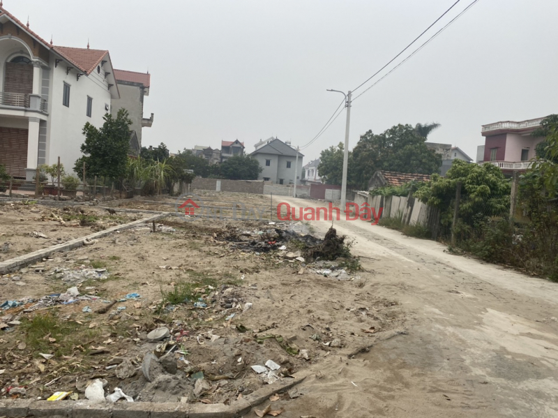 Land for sale at auction X2 Luong No Tien Duong Dong Anh, good location, only 3X Sales Listings