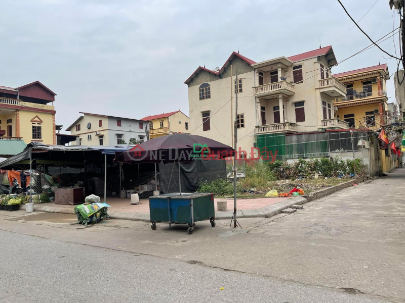 Property Search Vietnam | OneDay | Residential | Sales Listings Selling land at auction X2 Mai Chau Dai Mach Dong Anh village. Business regardless of day and night