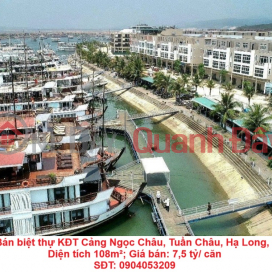 Owner sells villa in Ngoc Chau Port Urban Area, Tuan Chau, Ha Long, Quang Ninh _0