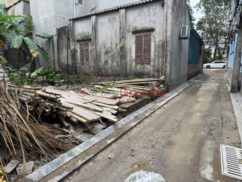 CHÍNH CHỦ bán đất Thụy Lôi, Thụy Lâm, Đông Anh - Cách khu công nghiệp Thuỵ Lâm khoảng 1km Việt Nam Bán đ 4,55 tỷ